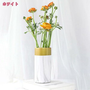 ԕr ̉ԕr 19cm Z~bN  V_[  kCeA hCt[ AW O[ Ԋ  _ t[x[X ԓ Vv Ԃт LO  т 