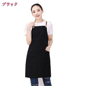 Gv H^ hGv | ɂ h zRtɂ   n VvGv JtF l 킢 LoX y n |Pbgt ƒ  | K