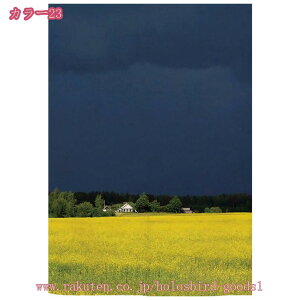 1000~OFFN[| ̂ Ǐ ^yXg[ Ԏd؂ ډB Ԃ̂ m k J[  O Ԏd؂ J[e ډB _ V[J[e   O k 