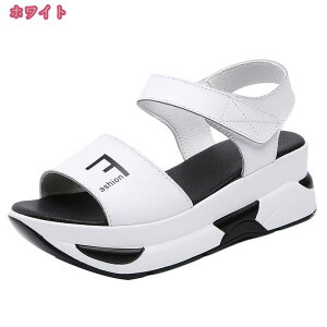 777~OFFN[| X|[cT_ fB[X T_ ₷ ɂȂ PU _炩NbV h y JWA ^C  ăr[T Xj[J[T_ xN 