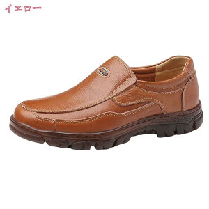 500~OFFN[| {v EH[LOV[Y Y 傫TCY JWAV[Y  C ~ RȂ ₷ amC RtH[gV[Y JWA ʋ rWlXV[