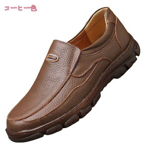 500~OFFN[| {v EH[LOV[Y Y 傫TCY JWAV[Y  C ~ RȂ ₷ amC RtH[gV[Y JWA ʋ rWlXV[