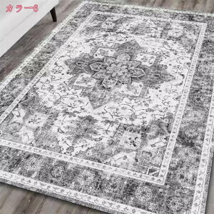 500~OFFN[| 􉽊w͗l k O CeA \t@[ zbgJ[ybgΉ O ~ߕt  Vя h K RۖhL _ G肪D h_j z `FA}b