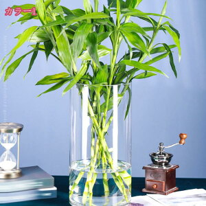 300~OFFN[| t[x[X ԕr ֑}  KX  L k   lC kG } ؖ ʎ ϗtA VbN Vv 킢  Q H holosbird-good