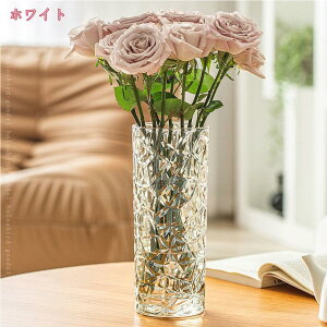 ԕr t[x[X  KX Ԋ KXԕr Ԃт 킢 g AeB[N CeA k 24.5cm Ɏqx[X ~x[X KX{g CeAG 傫 holosbird-