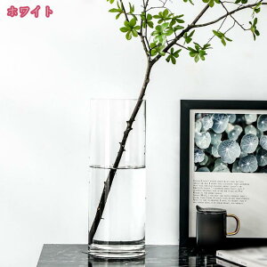 t[x[X Vv ԕr  KX ~ NA Ԋ KXԕr k kCeA kG CeAG IV 킢 v[g 蕨 傫 } 傫 