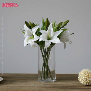 500~OFFN[| т ԕr NA t[x[X Ԋ 21.5cm KX{g _ Vv ̌^ GKg     ItBX k͔| AW u N Ɏq 