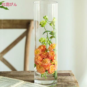 300~OFFN[| Ԃт KX ~ Ԋ 20cm k͔| kX^C CeA NA   ԕr KX{g  t[x[X Vv ̌^ ֑} _ A