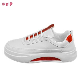 Xj[J[ Y fB[X  jOV[Y y X|[c [Jbg [XAbv EH[LO ʋ ʊw XP[g{[hV[Y JWAV[Y IbNXtH[h r