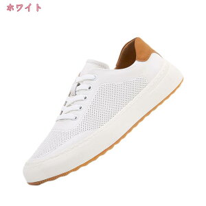 1000~OFFN[| hCrOV[Y Y n [XAbv JV fbLV[Y [t@[ JWAV[Y ItBXV[Y RtH[g rWlXV[Y y X|[