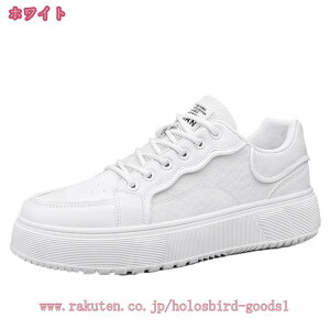 500~OFFN[| Y Xj[J[ X |[cV[Y jOV[Y ^C EH[LOV[Y g[jO WMO y ʋC  JWA h 傫TCY L V