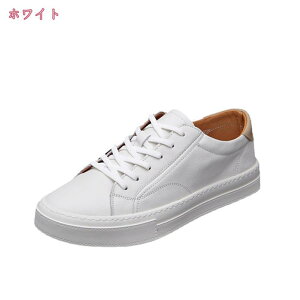 3500~OFFN[| Xj[J[ Y  y ؂ JWAV[Y  킢 [Jbg [XAbv ʊw ʋ t  H ~ RtH[g ip amC EH[LO
