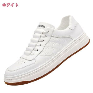 1000~OFFN[| Xj[J[ Y V[Y [XAbv [Jbg JWAV[Y ₷ amC EH[LOV[Y  _炩 n i y JWA Vv 