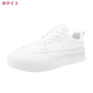 1000~OFFN[| Y C y Xj[J[ ~  [XAbv JWAV[Y [Jbg RtH[gV[Y ʋC 傫TCY EH[LOV[Y ₷ a