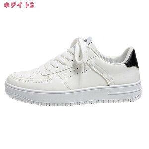 300~OFFN[| Xj[J[ Y   [Jbg JWAV[Y jOV[Y EH[LOV[Y C y K tBbg Vv  킢 傫TCY