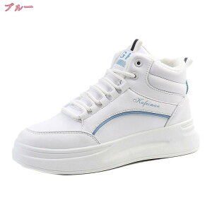 1000~OFFN[| Xm[u[c hu[c hV[Y h fB[X  V[gu[c Xm[V[Y EB^[u[c ~h C EghAV[Y h u[c  