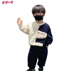1000~OFFN[| q W[W j̎q XEFbg ㉺ ZbgAbv {[CY X|[cEFA JWA Opc vI[o[ g[jOEFA   i ʉ 