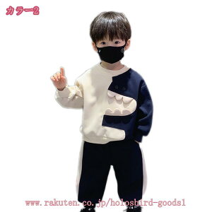 1000~OFFN[| q W[W j̎q XEFbg ㉺ ZbgAbv {[CY X|[cEFA JWA Opc vI[o[ g[jOEFA   i ʉ 