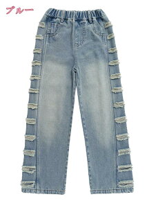 1600~OFFN[| LbY Chfjpc W[p ̎q nCEGXg Opc Y{ {gX WjA JWA   c̕ o holosbird-goods1