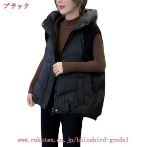 _ExXg fB[X xXg  m[X[u ċ |Pbgt  g gbvX d˒  JWA H ~ t   p hxXg i holosbi