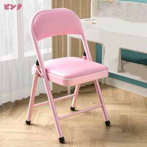 パイプ椅子 折りたたみ 椅子 折りたたみチェア おりたたみいす 背もたれ 会議イス ダイニングチェア 室内 軽量 スタイリッシュ ミーティングチェア おしゃれ 省スペース イベント シンプル