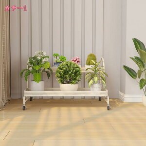 1000~OFFN[| t[X^h K[fX^h @\[bN 2w  O K[fjOX^h AX^h oRj[ KтȂ LX^[t  |pi  