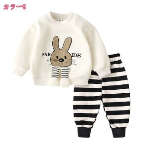 1000~OFFN[| q ㉺Zbg XEFbg Y{ ZbgAbv  p[J[ Opc Zbg j̎q q X|[cEFA LbY W[W JWA ^ ʉ ʊw t H ~