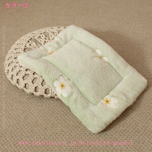 300�~OFF�N�[�|�� �y�b�g�}�b�g ���������� �ӂ�ӂ� �y�b�g�p�i �y�b�g �����΍� �_�炩�� �� �L�}�b�g �y�b�g�ѕz �x�b�h�u�����P�b�g �y�b�g�N�b�V���� �y�b�g�z�c �������� �􂦂� ���� 