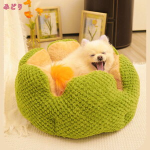 500~OFFN[| ybgxbh ӂӂ h[ xbh ϋv Sn̗ǂ ^ L ybgp xbh Jh[ h[ nEX \t@ NbV }bg nEX  ӂӂ 