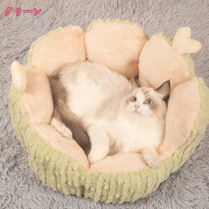 ^/^p Lp xbh ybgxbh NbV 2way 􂦂 ӂӂ g  ybg\t@[ LKp  xbh L xbh  薰 ybgpi 