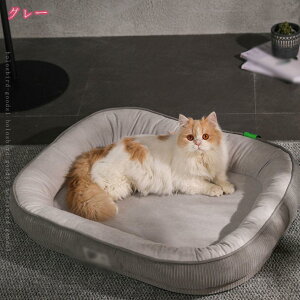 500~OFFN[| ybgxbh ӂӂ xbhxbg 킢  L  ybg I[V[Y ybg\t@[ ybg NbV ʔN ~ 薰 Lp ^p 