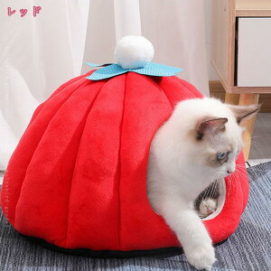 500~OFFN[|  nEX ybgnEX g p ybgxbh L[u^ L xbh Lp ӂӂ NbVt ~ K 􂦂 ۉ h ΍  薰 Q