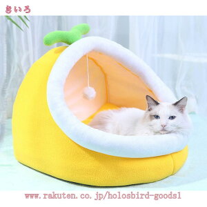 300~OFFN[| ybgxbh h[^ ybgnEX 2way  t Lp p ӂӂ NbVt  L eg 􂦂 I[V[Y ܂肽݉ Q g[ x