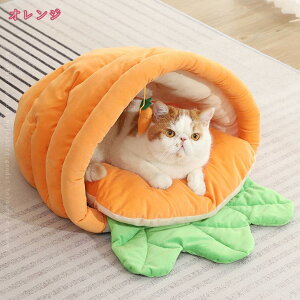 500~OFFN[| ybgxbh L xbh pxbh LnEX h[^ NbV 􂦂 ӂӂ ^ ~  ybgpi 傫 y ʔN [ ۉh K _炩 yb