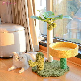 500円OFFクーポン 可愛い キャットツリー サボテン スリム 猫爪とぎ おもちゃ キャットタワー ミニ 猫タワー 小型 低い 爪研ぎ 麻紐 コンパクト 省スペース 頑丈 展望台 小さめ 据え置き おしゃれ インテリア holosbird-goods1