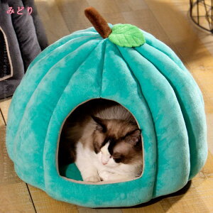 1000~OFFN[|  xbh h[ ybgxbh h[^ ybgnEX 2way ܂肽݉ Lp p ~p ӂӂ 􂦂 NbVt pxbh  t LnEX  nE