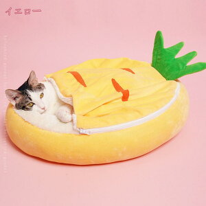 800~OFFN[| L xbh LnEX ybgxbh ~  h[^ NbV \t@[ 킢 ~p ybg xbh B ʔN  nEX g ^ ӂӂ {A pxb