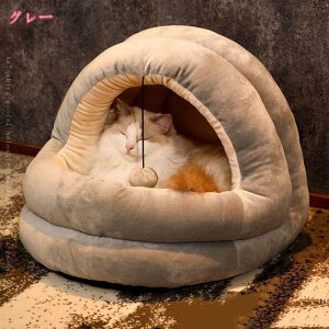 777~OFFN[| L xbh LnEX ybgxbh ~  h[^ NbV \t@[ 킢 ~p ybg xbh B ʔN  nEX g ^ ӂӂ {A pxb