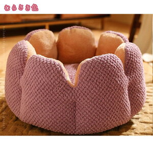 300~OFFN[| L ׃bh  xbh ~ ی^ ybgxbh ʔN LObY ObY ~p 􂦂 ӂӂ  I[V[Y  L NbV ϊ ~ 킢 L  