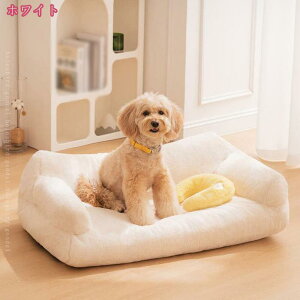 1000~OFFN[| ybgxbh ybg\t@ Lp pxbh NbV 􂦂 ~ ʔN ybg\t@[ ybgObY L̃xbh pNbV _炩 ӂӂ g ΍ 