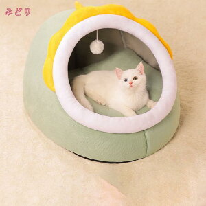 1600~OFFN[| Lxbh LnEX h[^   x bh NbV ^ LbgnEX ybg xbh ӂӂ  g ybgxbh ybgnEX ΍ ۉh 