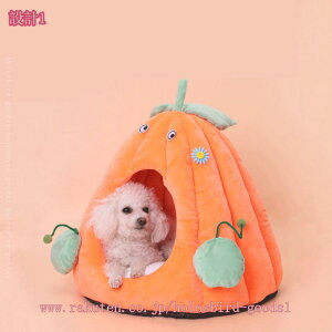 500~OFFN[| ybgxbh h[^ ybgnEX H~p Lxbh xbh ybgQ NbV ybg}bg ~ ӂӂ g 薰 ybg\t@[ L ^ 