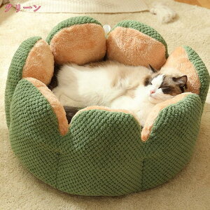 800~OFFN[| ybgNbV L  xbh ybgxbh ~ ӂӂ ~ ې ybg\t@  ی^ ^p }bg ybgpxbh _炩 v ʔNp  