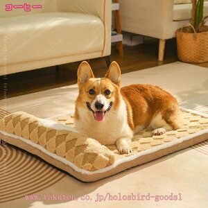 300~OFFN[| ybgxbh Lpxbh GARp ӂ݂ӂݔLxbh  NbV  ``  ~ 2way ӂӂ g ΍ ʔN 􂦂 gΉɂn ^