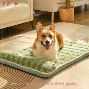 300~OFFN[| ybgxbh Lpxbh GARp ӂ݂ӂݔLxbh  NbV  ``  ~ 2way ӂӂ g ΍ ʔN 􂦂 gΉɂn ^