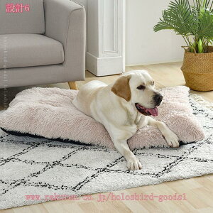 300~OFFN[| ybgxbh Lpxbh GARp ӂ݂ӂݔLxbh  NbV  ``  ~ 2way ӂӂ g ΍ ʔN 􂦂 gΉɂn ^