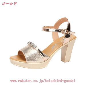 1000~OFFN[| T_ fB[X  ANXgbv 傫TCY  q[T_ q[ ₷ ɂȂ tH[} r TCY ʋC RtH[gT