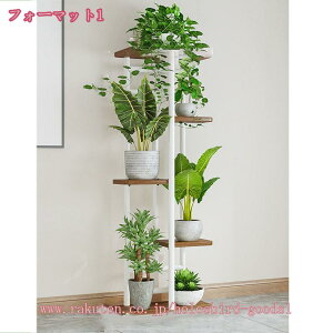 1000~OFFN[|  ϗtA X`[ ԒI Aؔ K[fjO bN  O ԑ gȒP CeA rt k X^h AeB[N t[X^h ACA ԑ 5i 