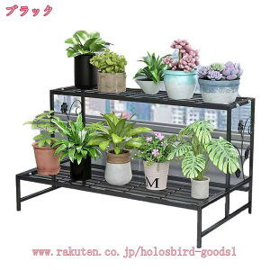 1000~OFFN[| t[X^h ACAbN3i ubN gݗĊȒP ԑ CeA  K[fbN ԑ O  ACA t[bN v^[X^