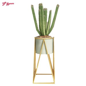 1000~OFFN[| t[X^h ԑ v^[X^h t[  X^h  RpNg Aؔ u ACA  X   ϗt A |bg  u ԕr 